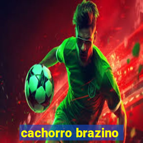 cachorro brazino